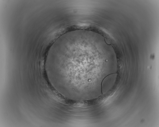 X0000092040745200709191100