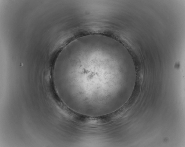 X0000092040746200709191100