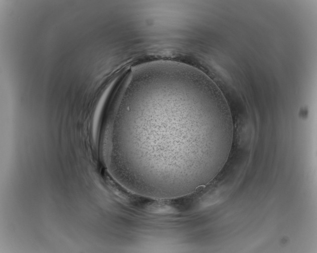 X0000092040747200709191100