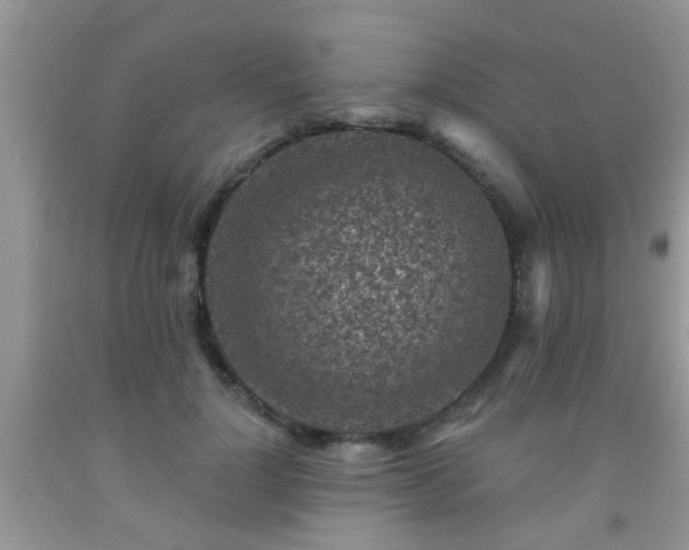 X0000092040748200709191100