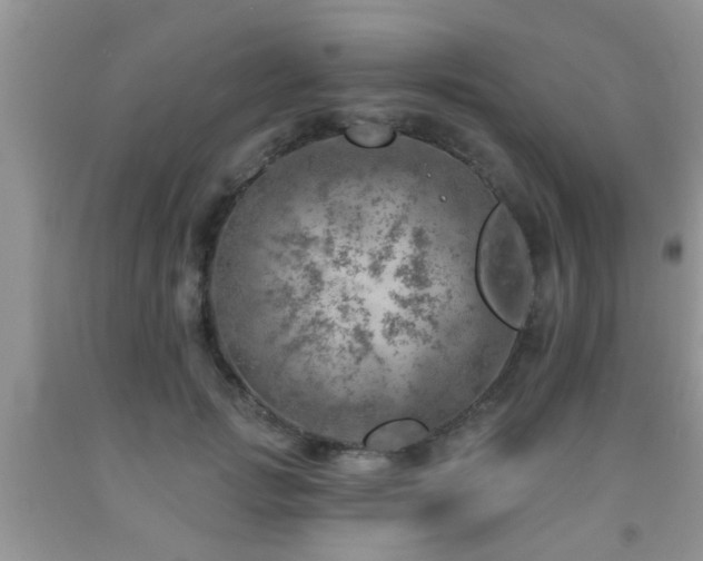 X0000092040749200709191100