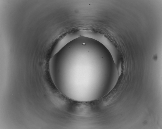 X0000092040750200709191100