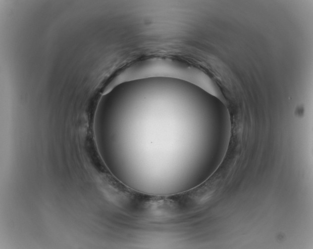 X0000092040752200709191100