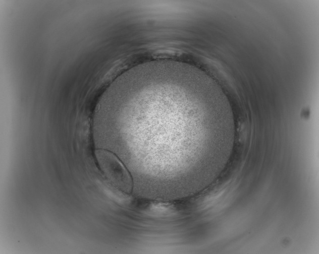 X0000092040753200709191100