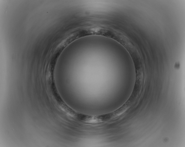 X0000092040754200709191100