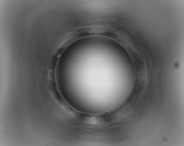 X0000092040755200709191100