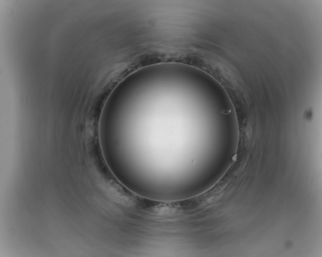 X0000092040756200709191100