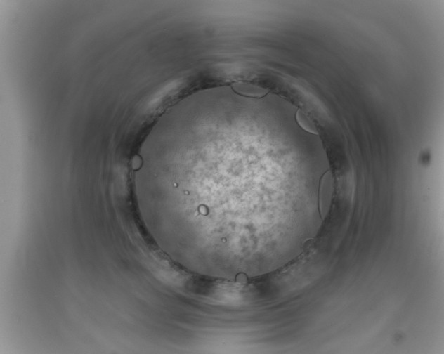 X0000092040757200709191100