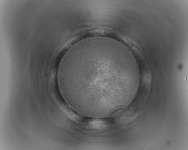 X0000092040759200709191100