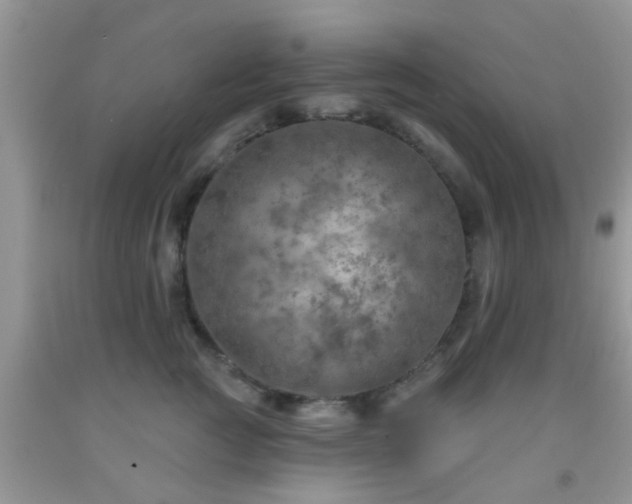 X0000092040761200709191100