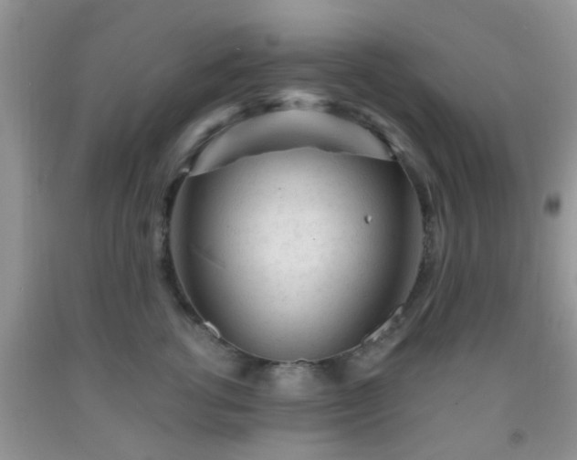 X0000092040762200709191100