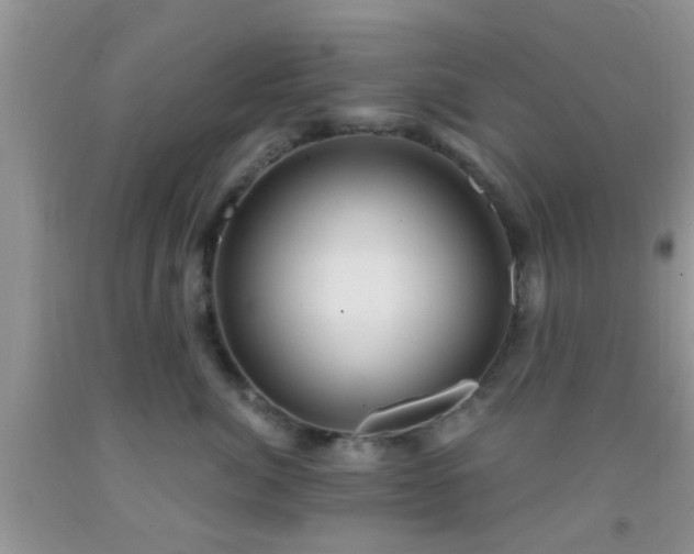 X0000092040764200709191100