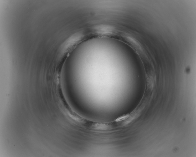 X0000092040766200709191100