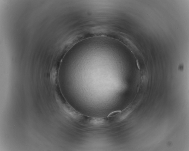 X0000092040767200709191100