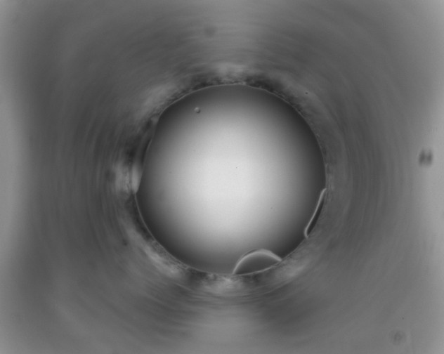 X0000092040768200709191100