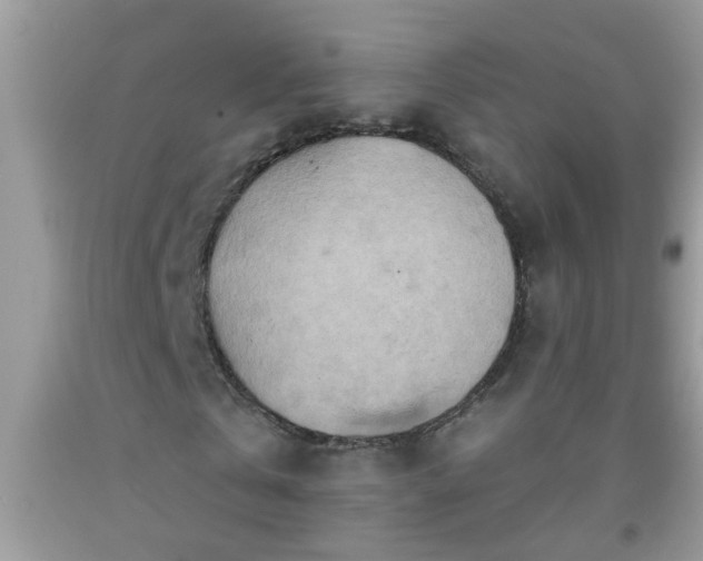 X0000092040769200709191059