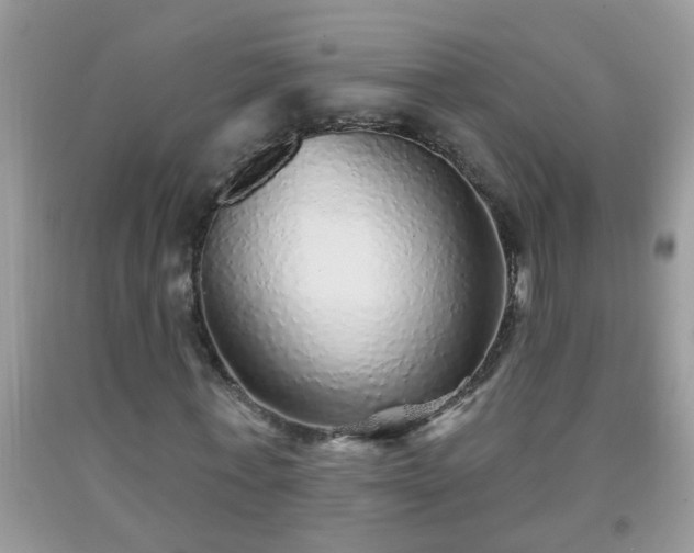 X0000092040771200709191059