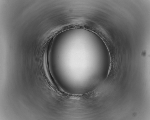 X0000092040773200709191059