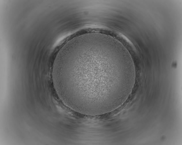 X0000092040775200709191059