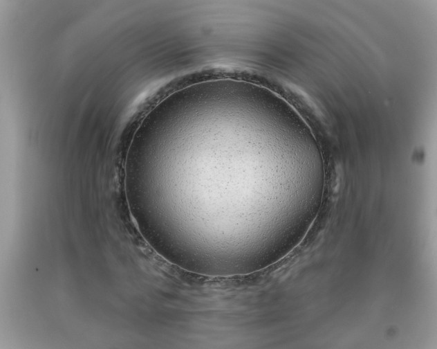 X0000092040776200709191059