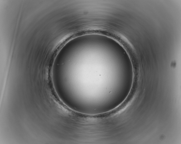 X0000092040777200709191059