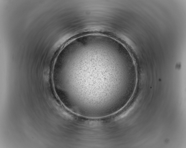 X0000092040778200709191059