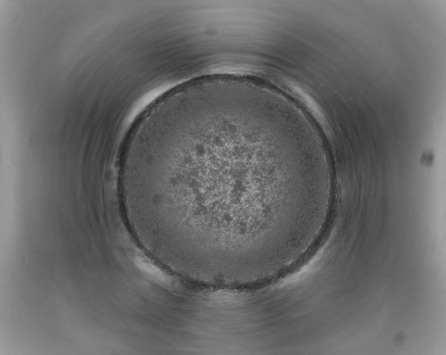 X0000092040779200709191059