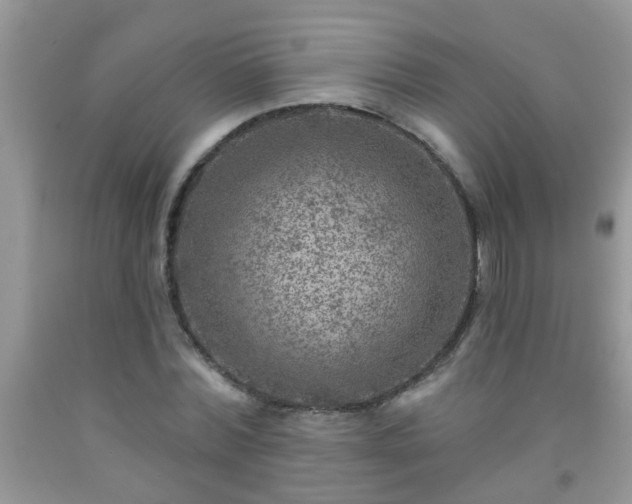 X0000092040780200709191059