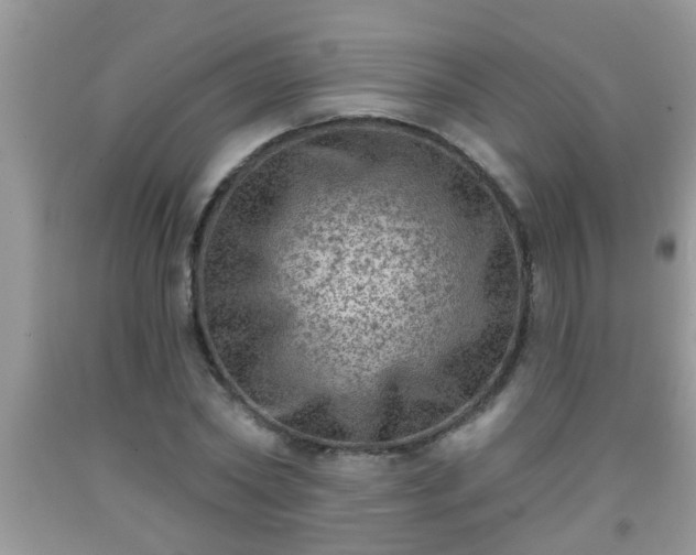 X0000092040782200709191059