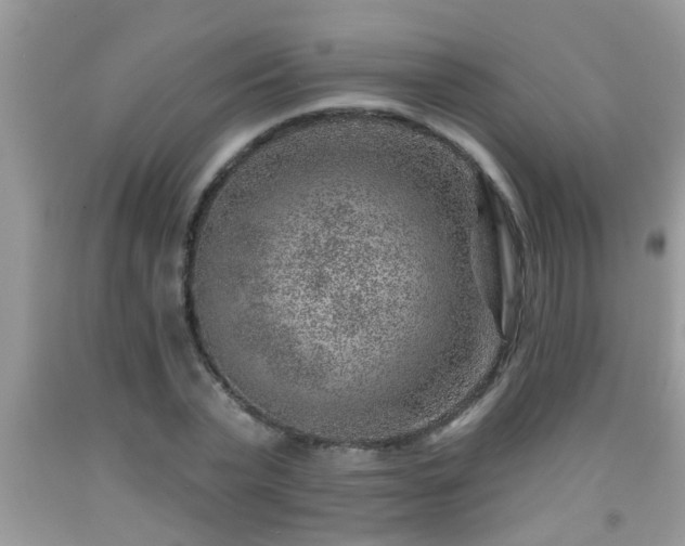 X0000092040783200709191059