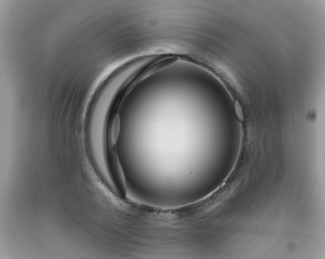 X0000092040784200709191059