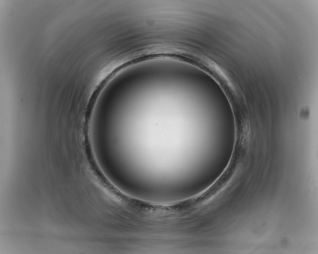 X0000092040786200709191059