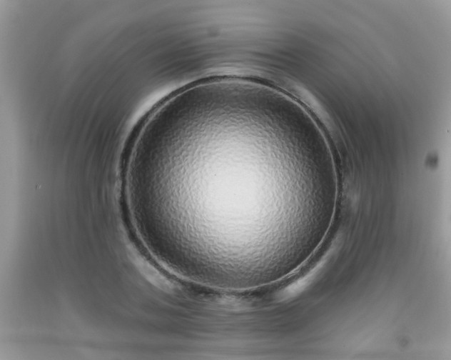 X0000092040787200709191059