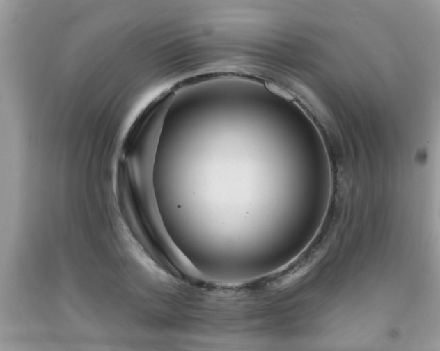 X0000092040788200709191059