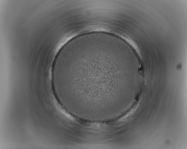 X0000092040790200709191059