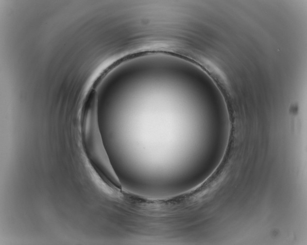 X0000092040792200709191059