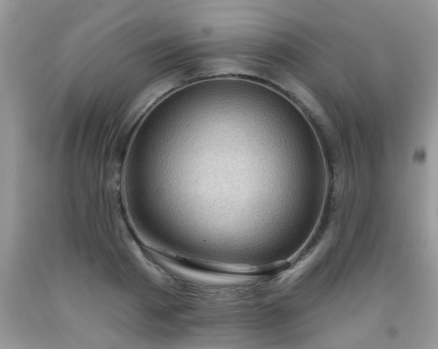 X0000092040793200709191059