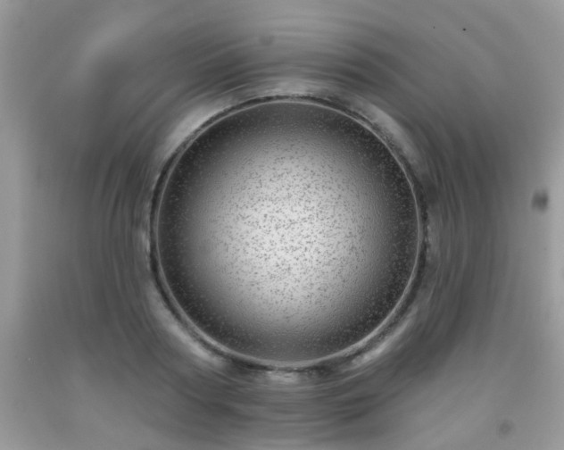 X0000092040794200709191059