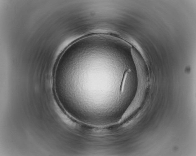 X0000092040795200709191059