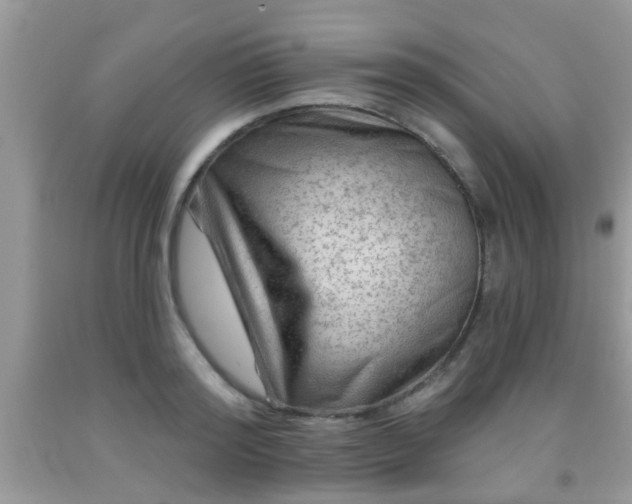 X0000092040796200709191059