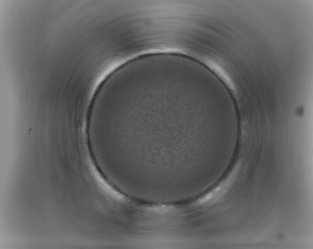 X0000092040797200709191059