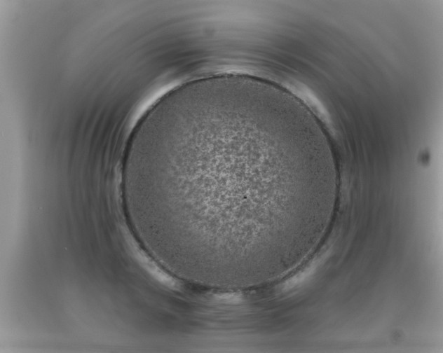 X0000092040798200709191059