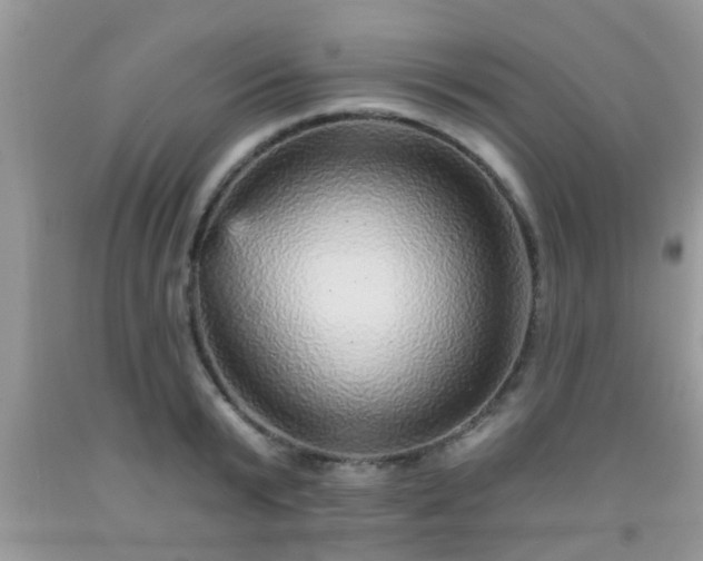 X0000092040799200709191059