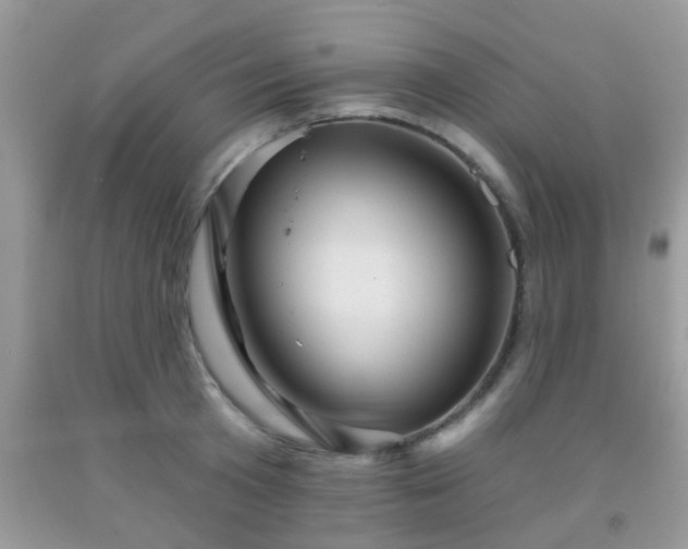 X0000092040801200709191059