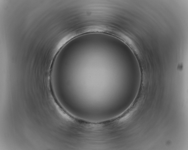 X0000092040802200709191059