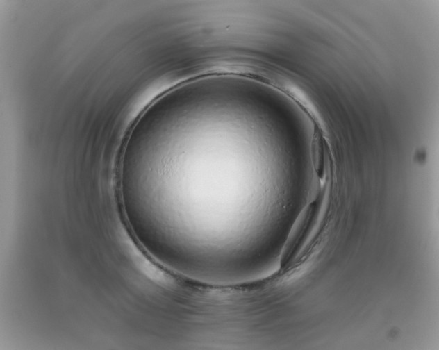 X0000092040803200709191059