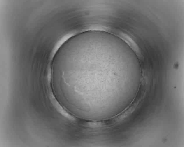 X0000092040804200709191059