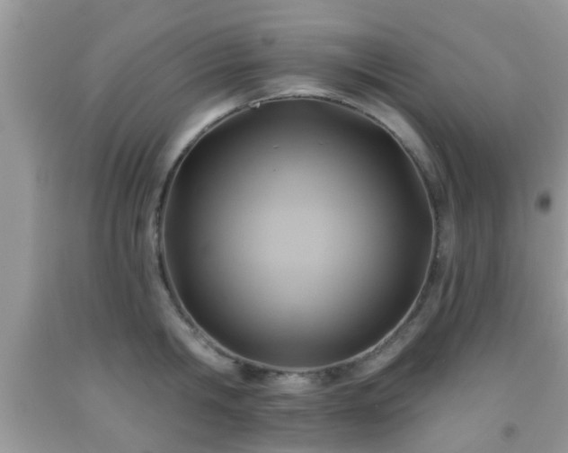 X0000092040806200709191059