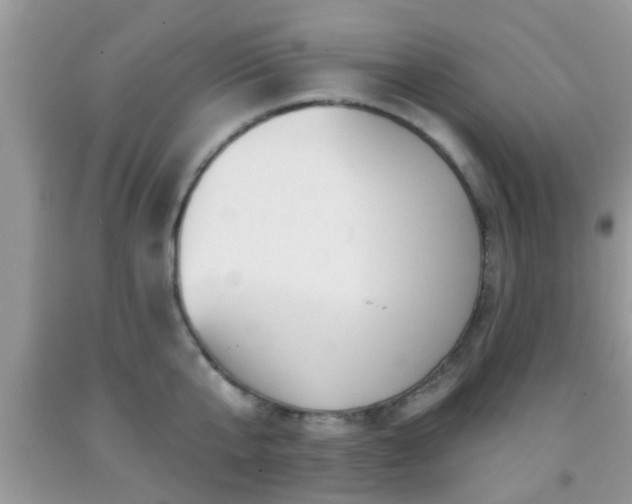 X0000092040807200709191059