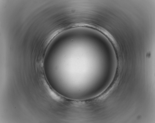 X0000092040809200709191059